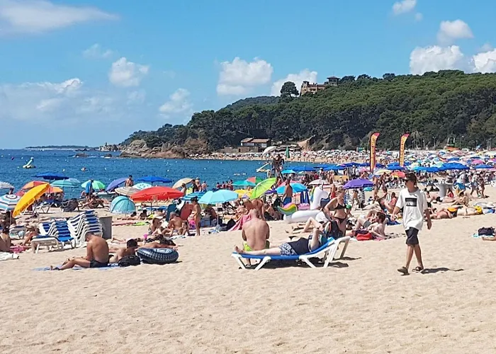Apartament Playa Fenals